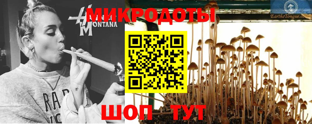 Псилоцибиновые грибы мицелий Южноуральск